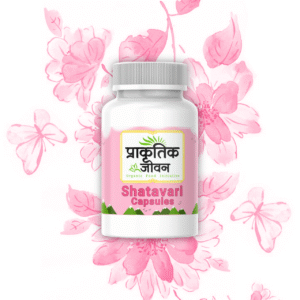Shatavari Capsule