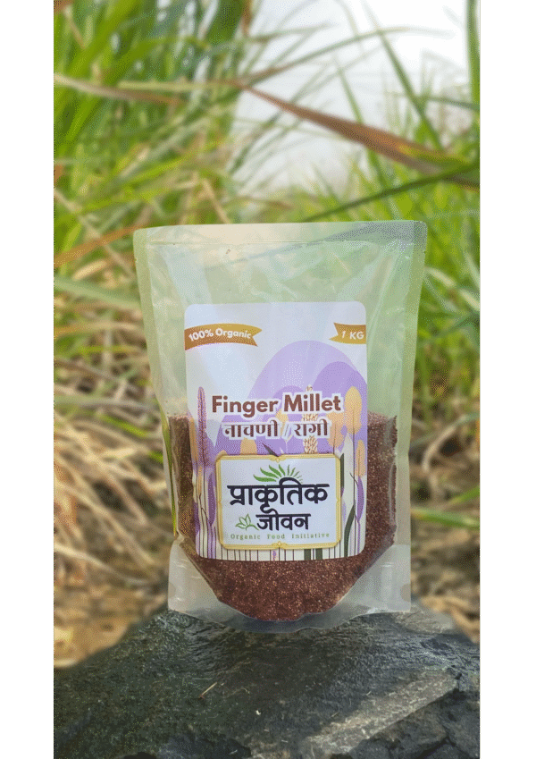 Finger Millet (Nachni / Ragi) – 1kg - Image 2
