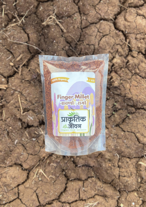 Finger Millet (Nachni / Ragi) – 1kg - Image 3
